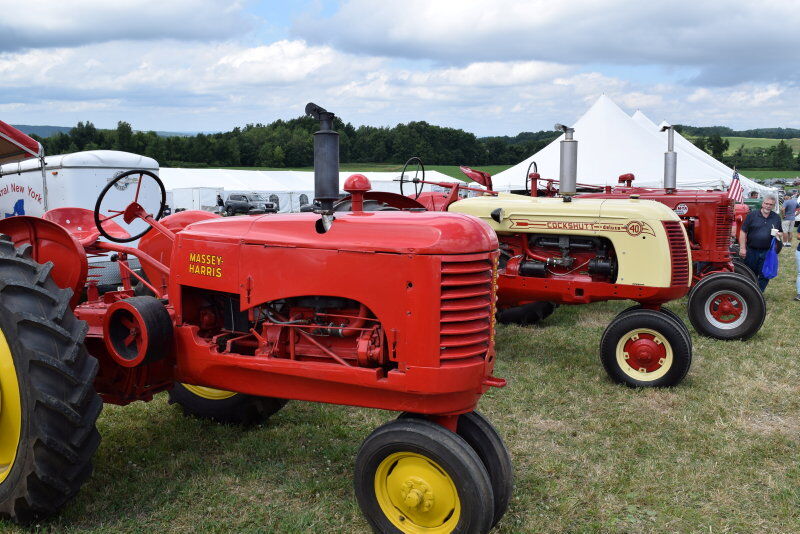 Empire-Farm-Days-6.jpg